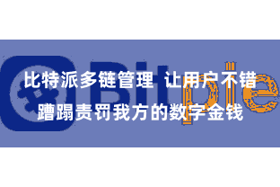 比特派多链管理 让用户不错蹧蹋责罚我方的数字金钱