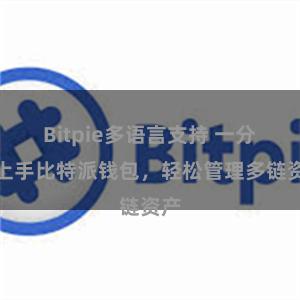 Bitpie多语言支持 一分钟上手比特派钱包，轻松管理多链资产