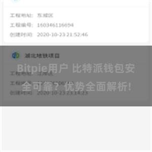 Bitpie用户 比特派钱包安全可靠？优势全面解析!