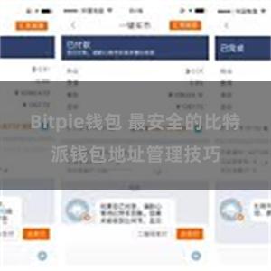 Bitpie钱包 最安全的比特派钱包地址管理技巧