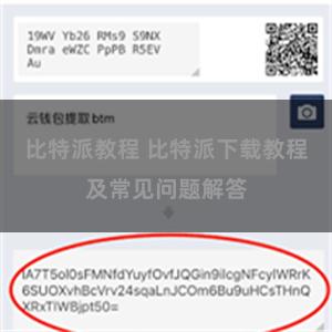 比特派教程 比特派下载教程及常见问题解答