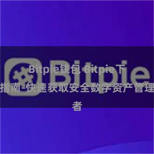 Bitpie钱包 Bitpie下载指南-快速获取安全数字资产管理者