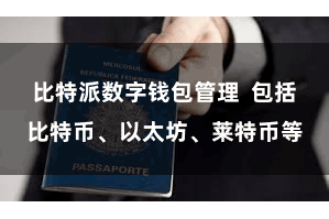 比特派数字钱包管理  包括比特币、以太坊、莱特币等