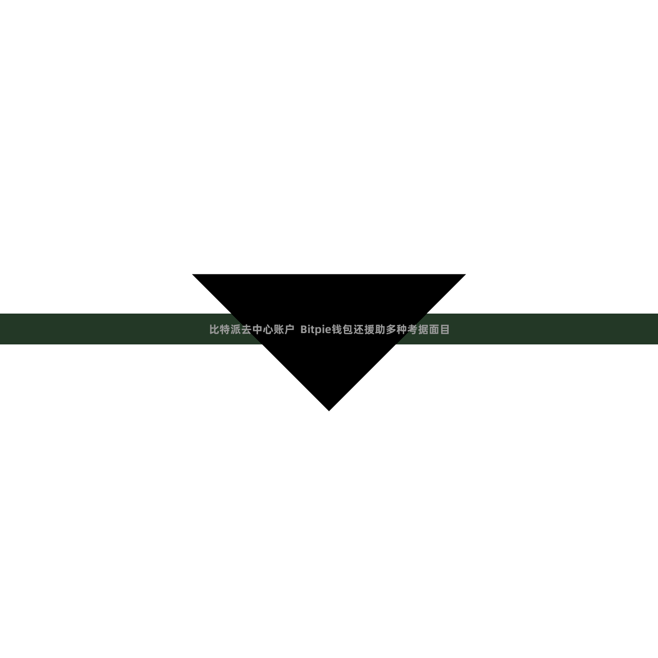 比特派去中心账户  Bitpie钱包还援助多种考据面目