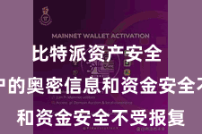 比特派资产安全  保险用户的奥密信息和资金安全不受报复