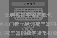 比特派加密资产钱包  不管是入门者一经训戒丰富的数字货币投资者